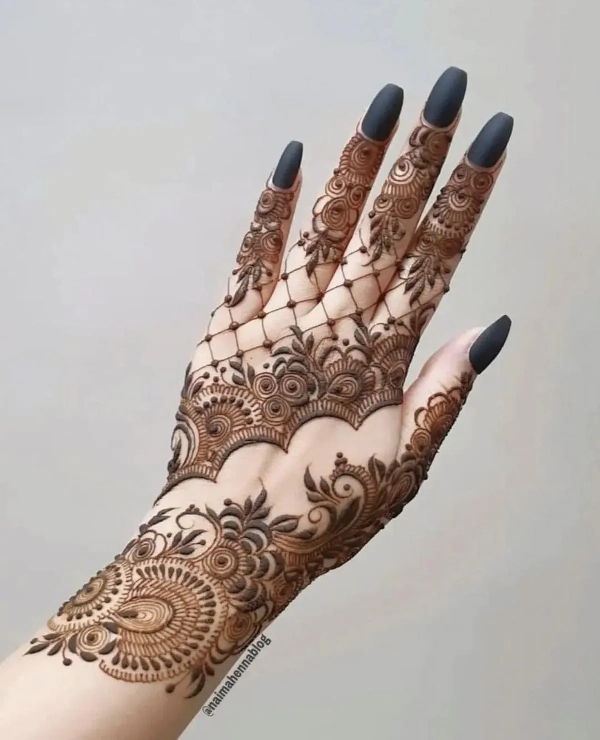 Punjabi Royal Front Hand Mehndi Design idea