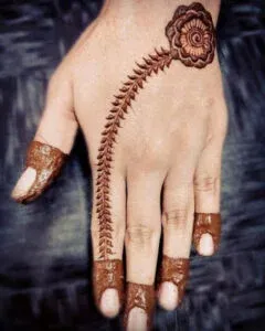 Bel Mehndi Design idea